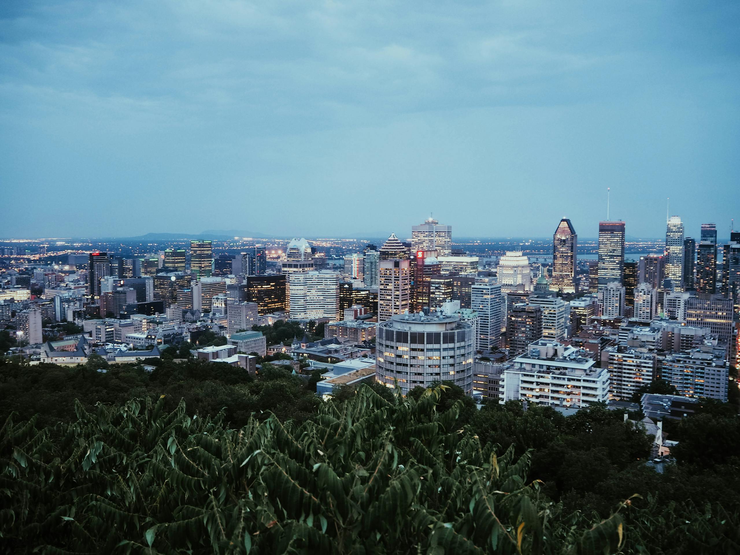 Scenic view of Montreal's skyline at twilight from Mount Royal showcasing city lights and architecture.